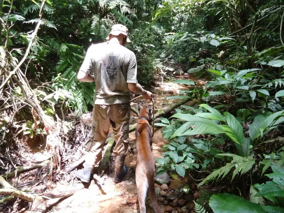 South America / animal rescue memories