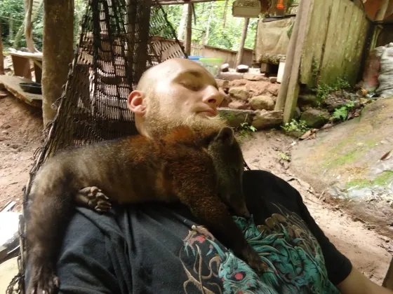 A coati sleeping against Lukas’s beard