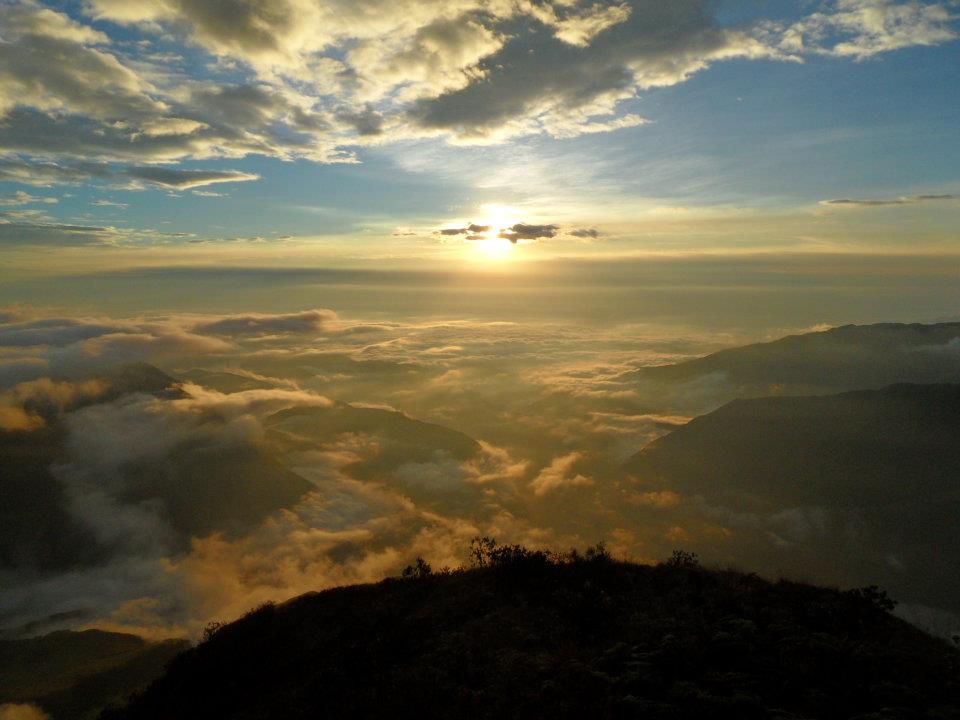 The Meaning of Life Isn’t One Thing – It’s a System