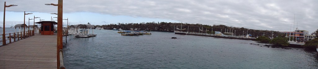 Puerto Ayora, Galapagos, Ecuador