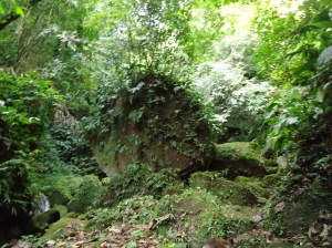 Indiana jones style jungle!