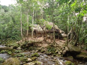 Animal rescue center Cerelias, Orlando Zagazeta, Peru