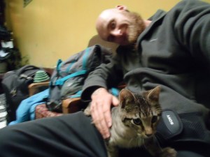 cat bolivia la paz el solario hostal